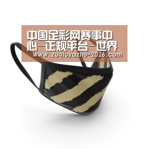 成人布口罩