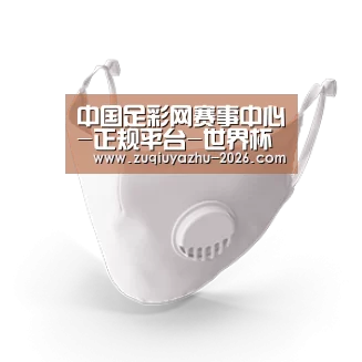 N95 口罩